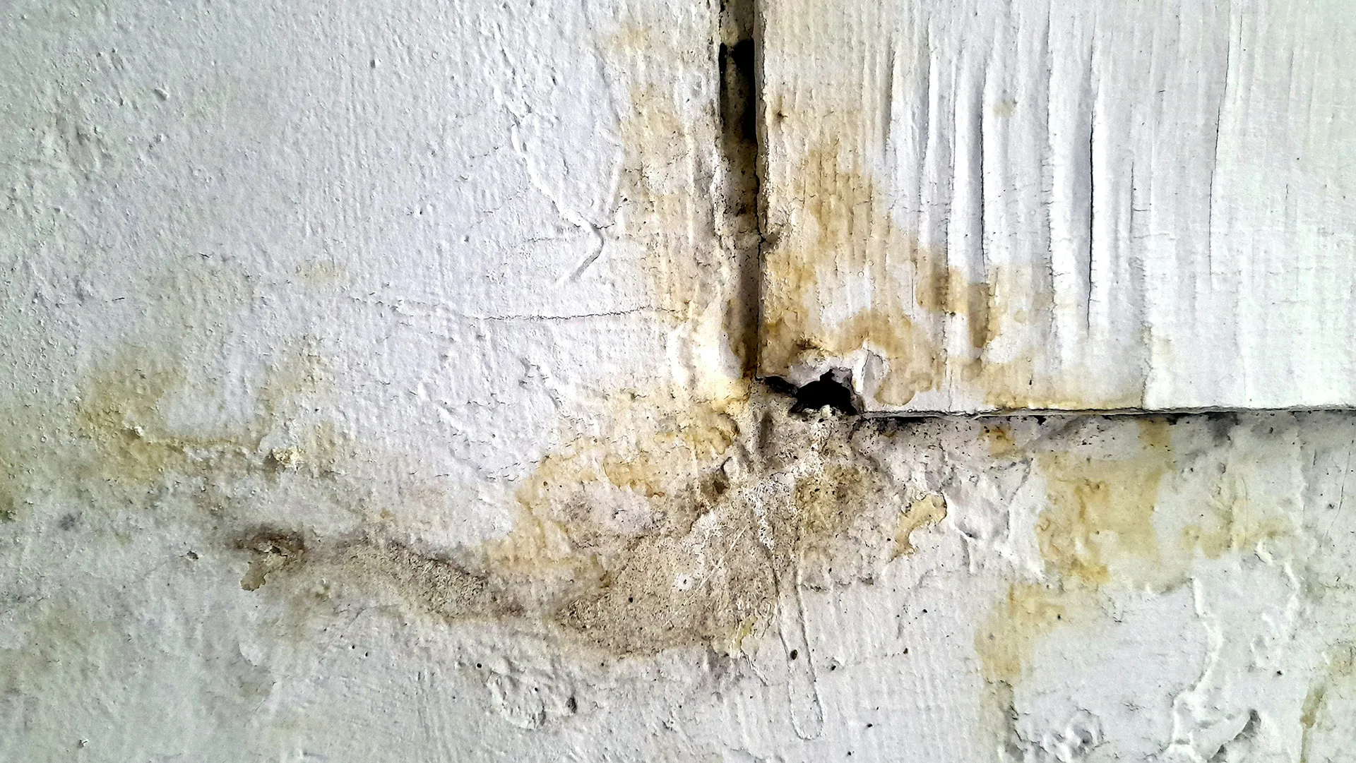 Close-up of hidden mold and water damage on an interior wall, showing discoloration and cracking paint.